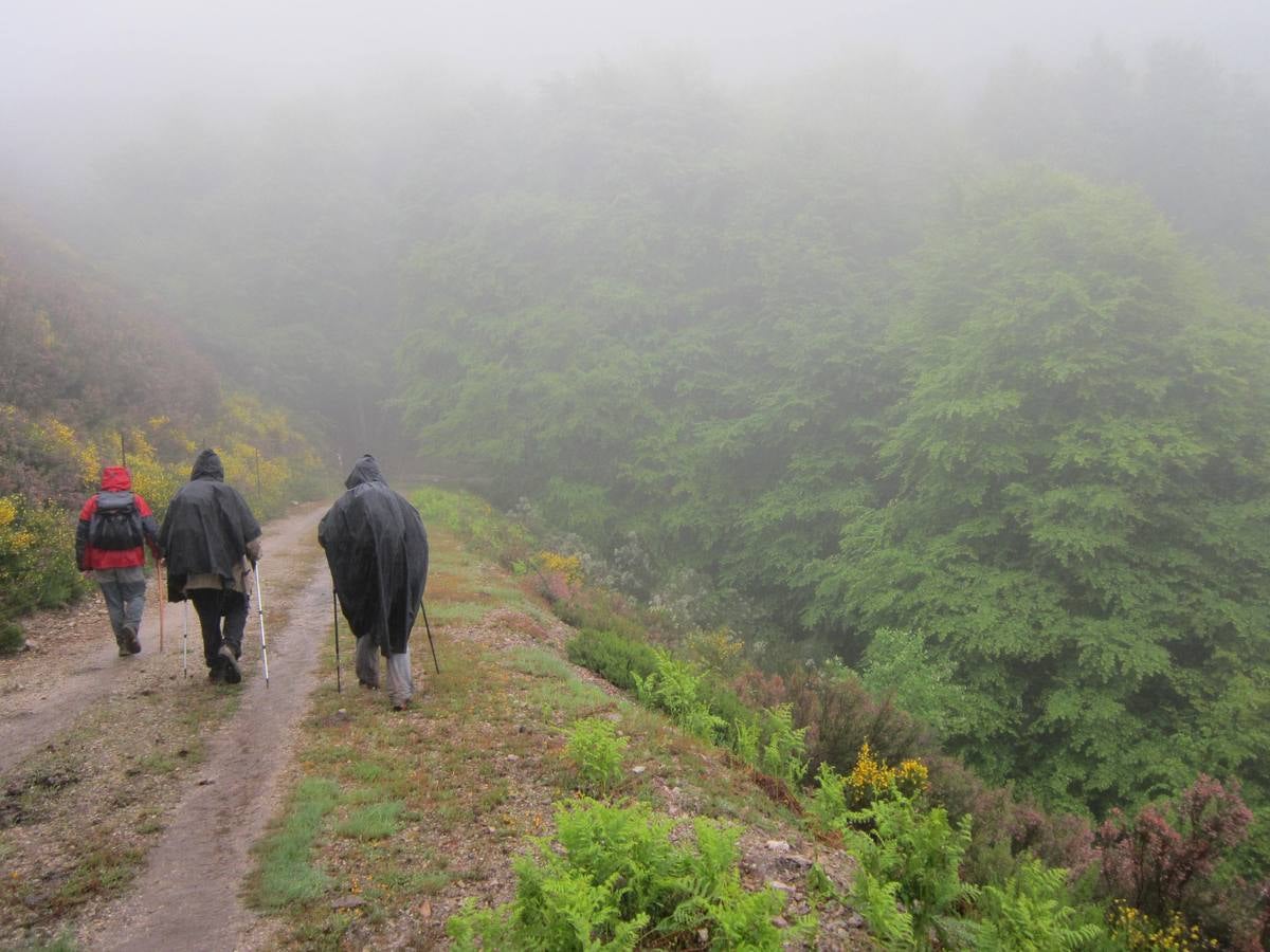 XV Marcha Senderista por los Montes de Anguiano