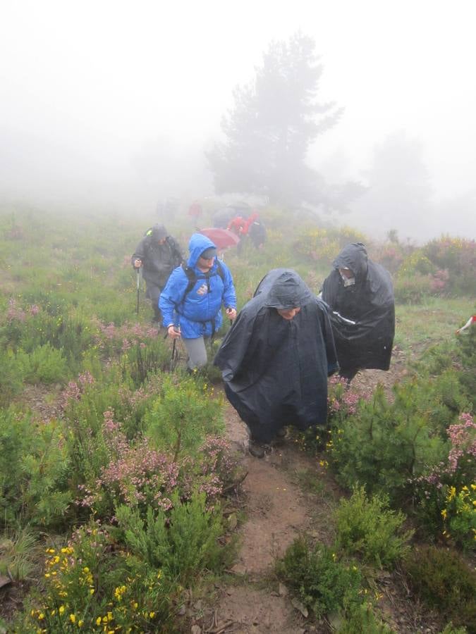 XV Marcha Senderista por los Montes de Anguiano