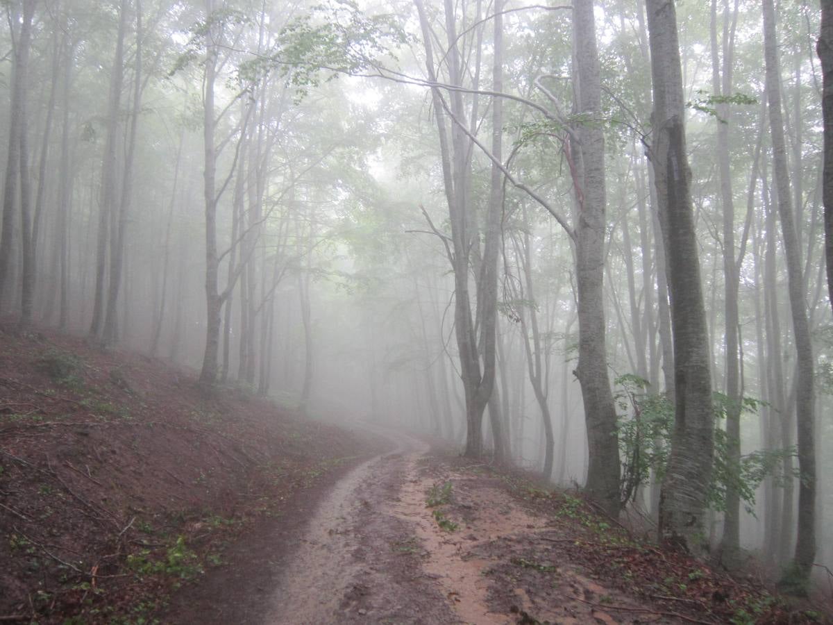 XV Marcha Senderista por los Montes de Anguiano