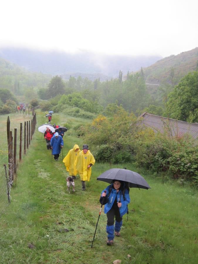 XV Marcha Senderista por los Montes de Anguiano (II)