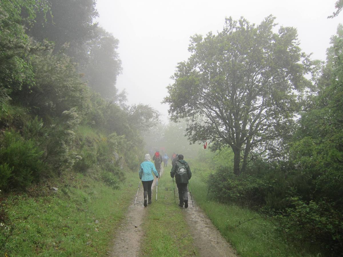 XV Marcha Senderista por los Montes de Anguiano (II)