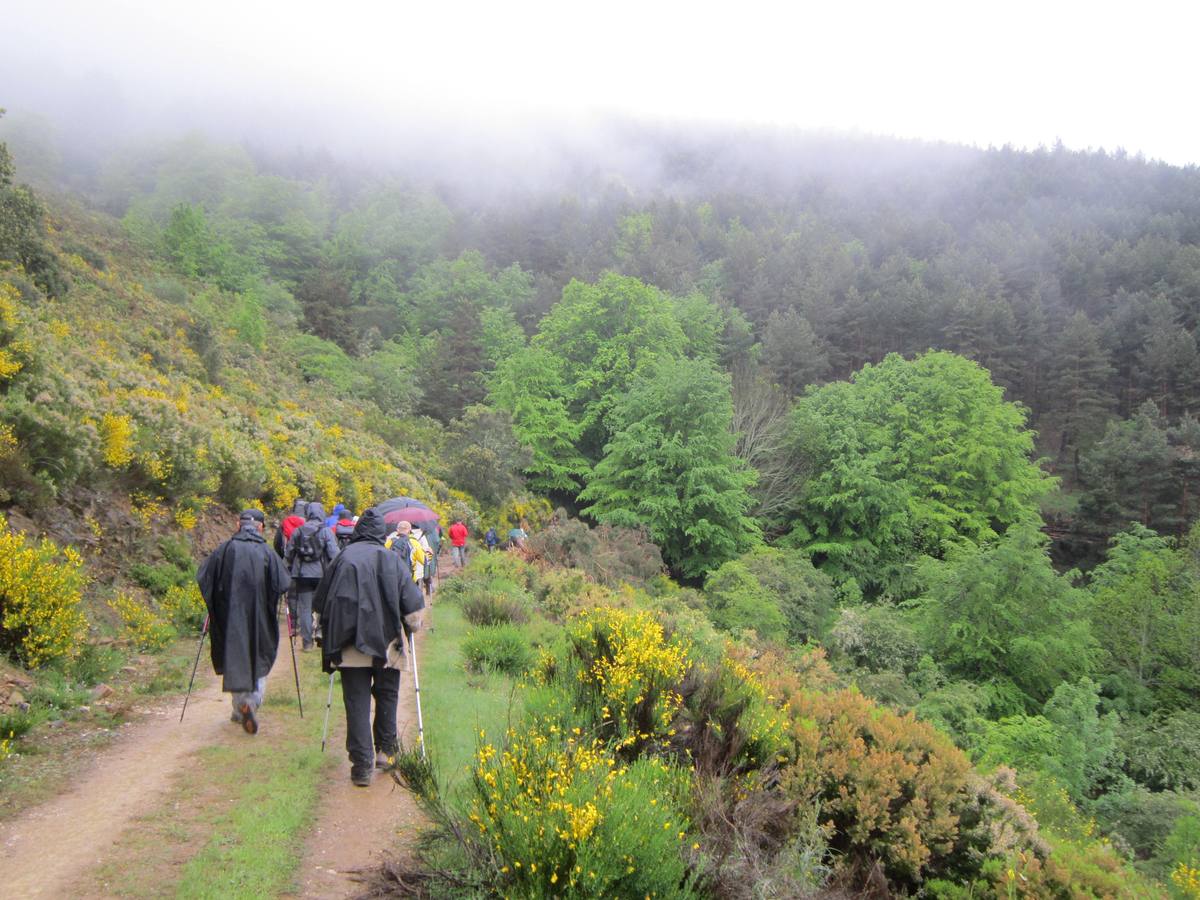 XV Marcha Senderista por los Montes de Anguiano (II)