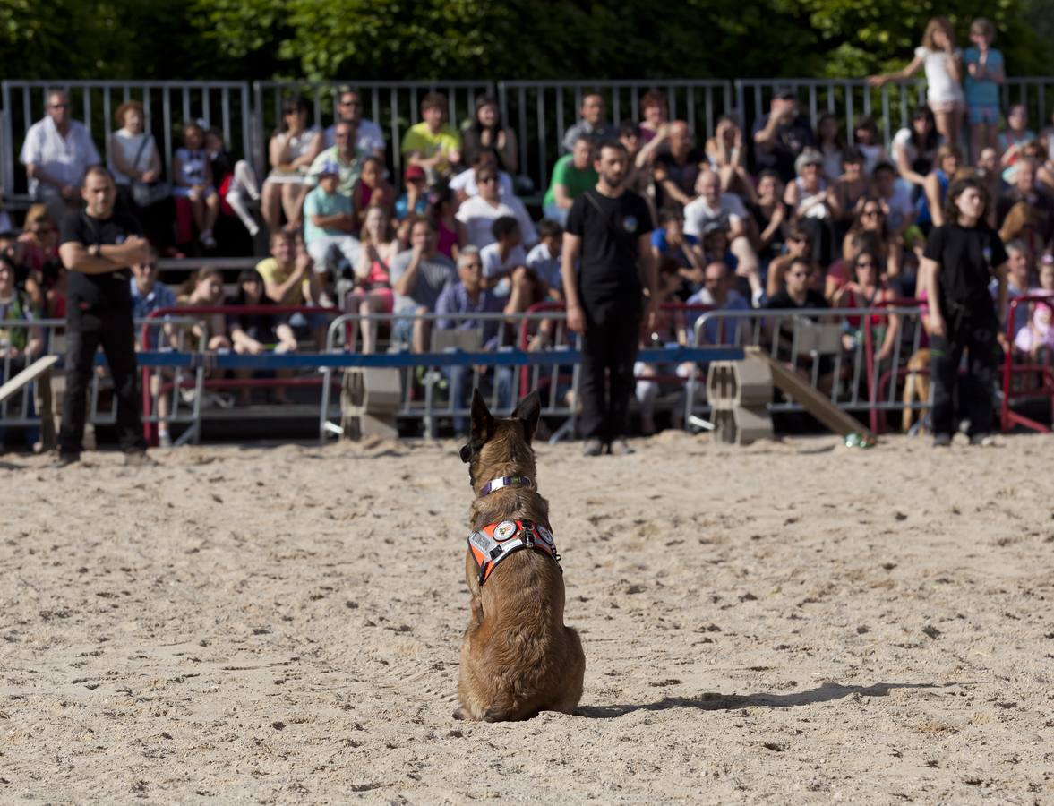 Demostración de la Unidad Canina de Rescate de La Rioja