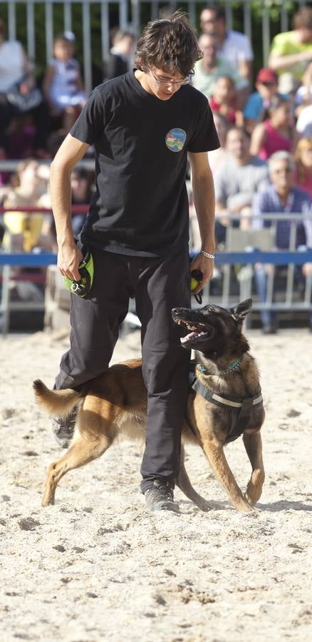 Demostración de la Unidad Canina de Rescate de La Rioja