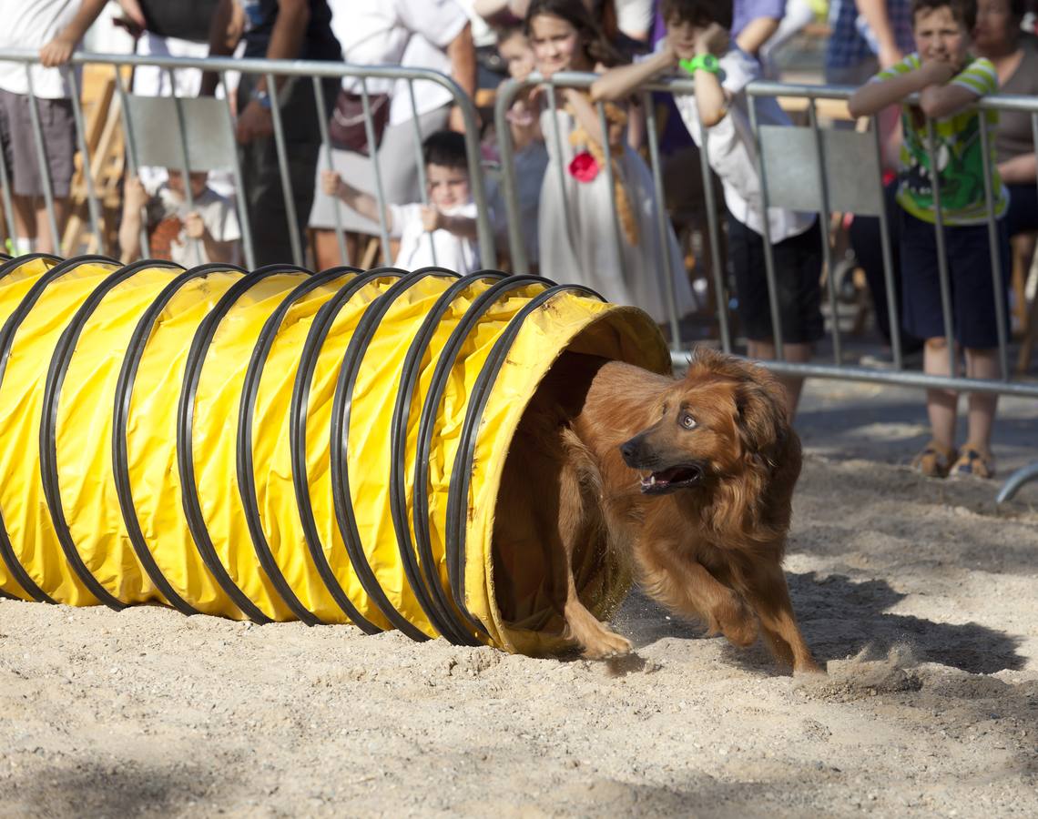 Demostración de la Unidad Canina de Rescate de La Rioja