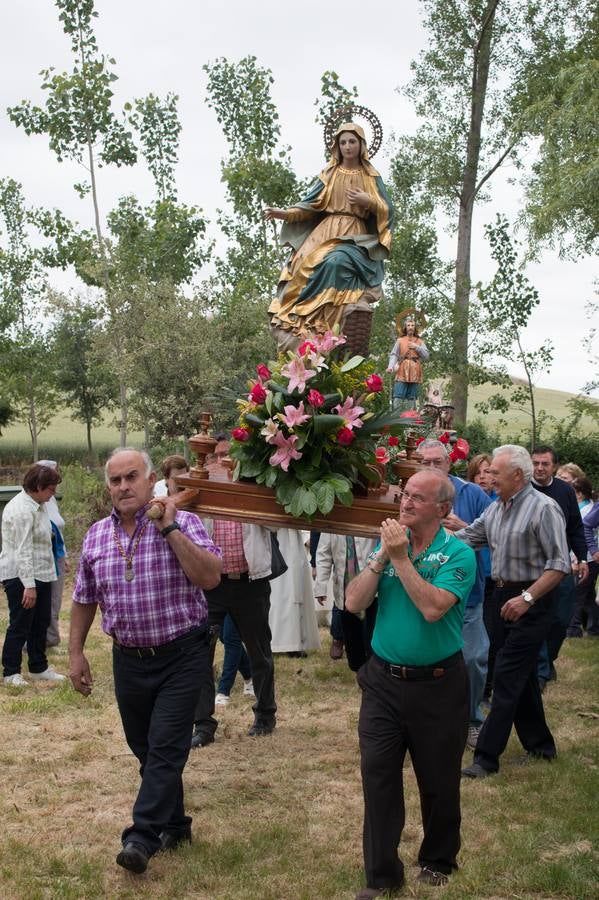 Romería a la Ermita de Las Abejas organizada por la Cofradía de San Isidro