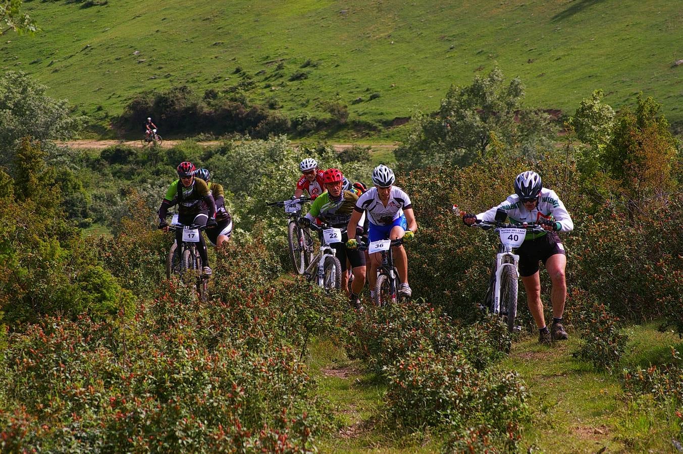 Rutas del Leza en Laguna