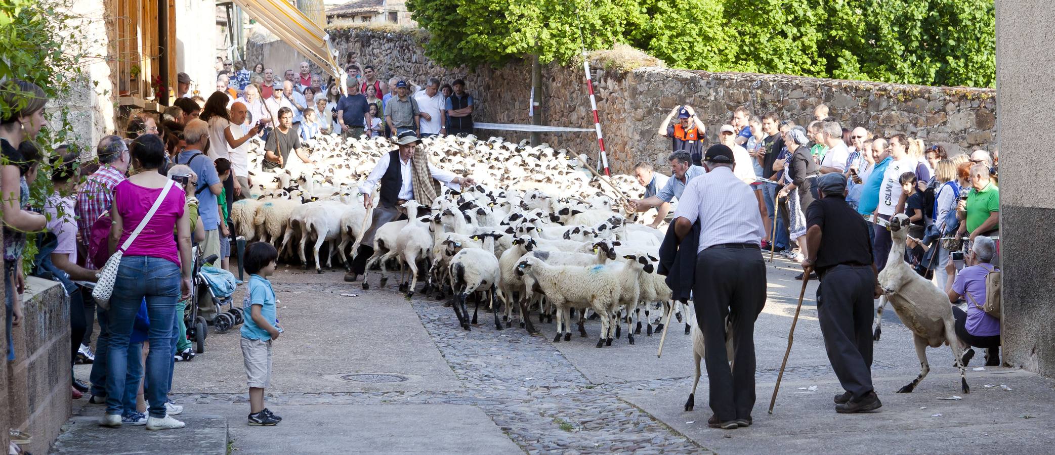 Fiesta de la Trashumancia en Brieva