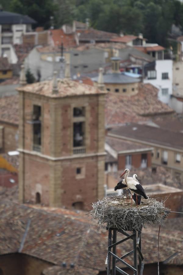 Nájera, en La Rioja de Cabo a Rabo