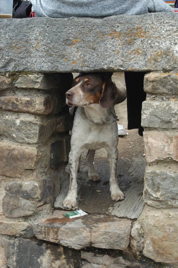 Tercera jornada del Cameros Blue Festival