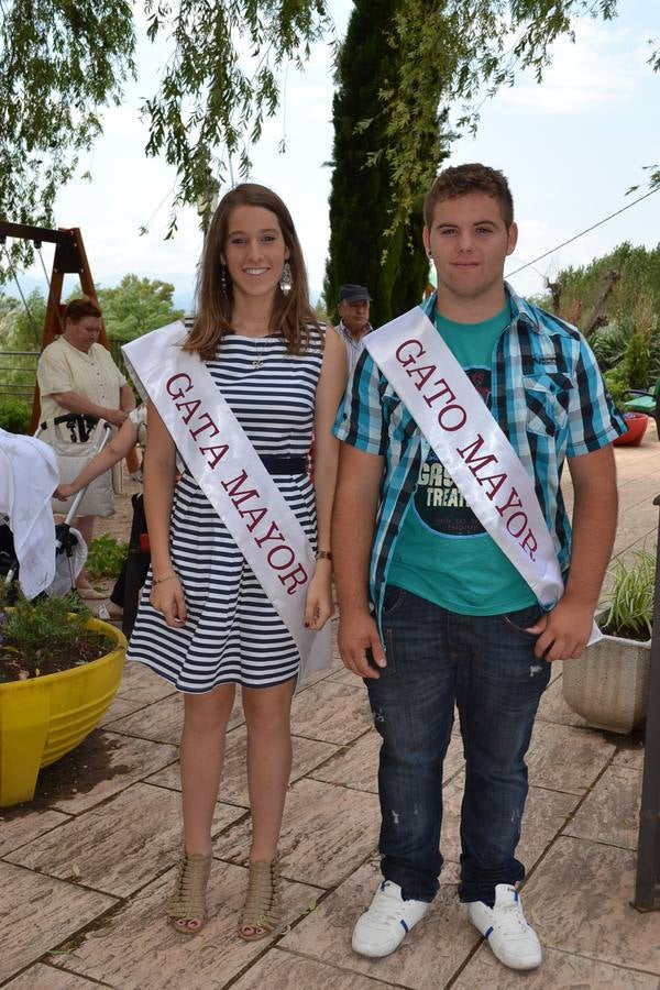 Festival del huevo duro con jamón en Alesón