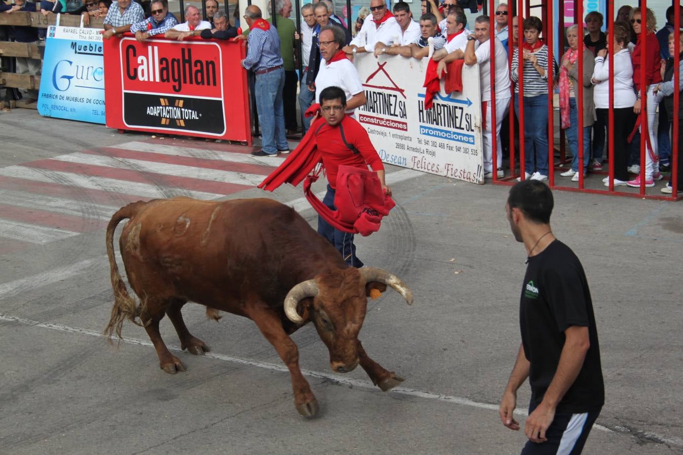 Arnedo apura sus fiestas