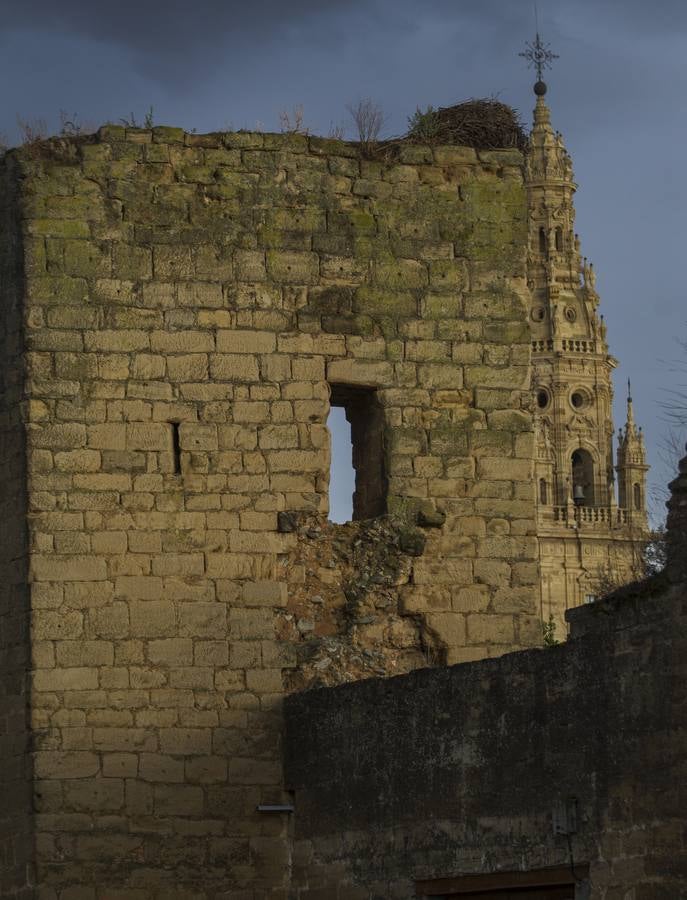 Santo Domingo de la Calzada. 