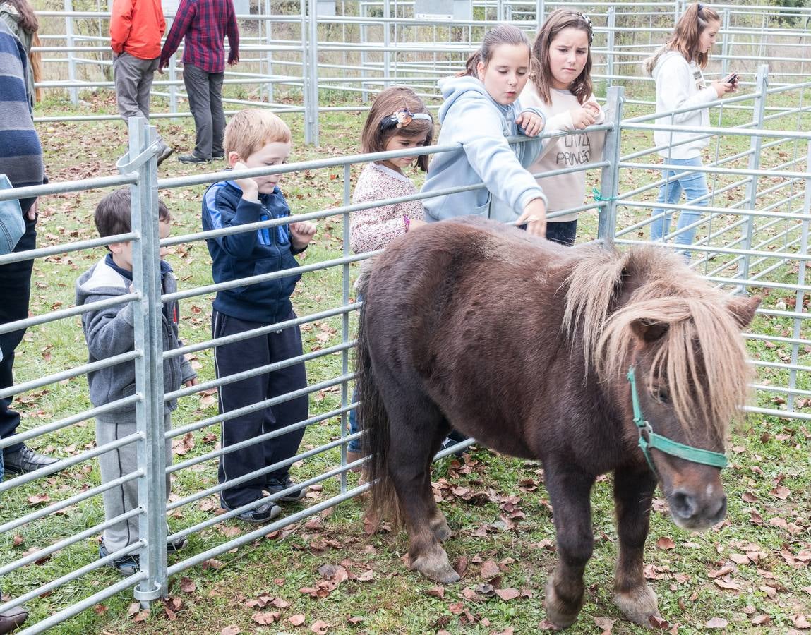 Feria Agroalimentaria y de Ganado en Ojacastro