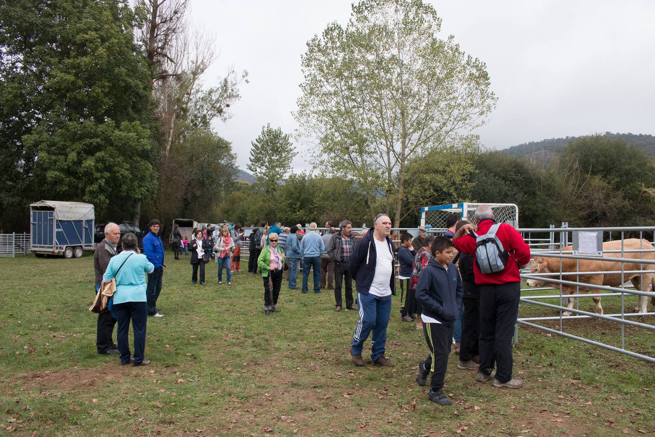 Feria Agroalimentaria y de Ganado en Ojacastro