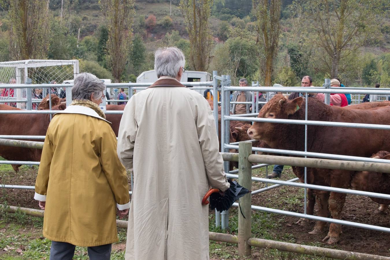 Feria Agroalimentaria y de Ganado en Ojacastro