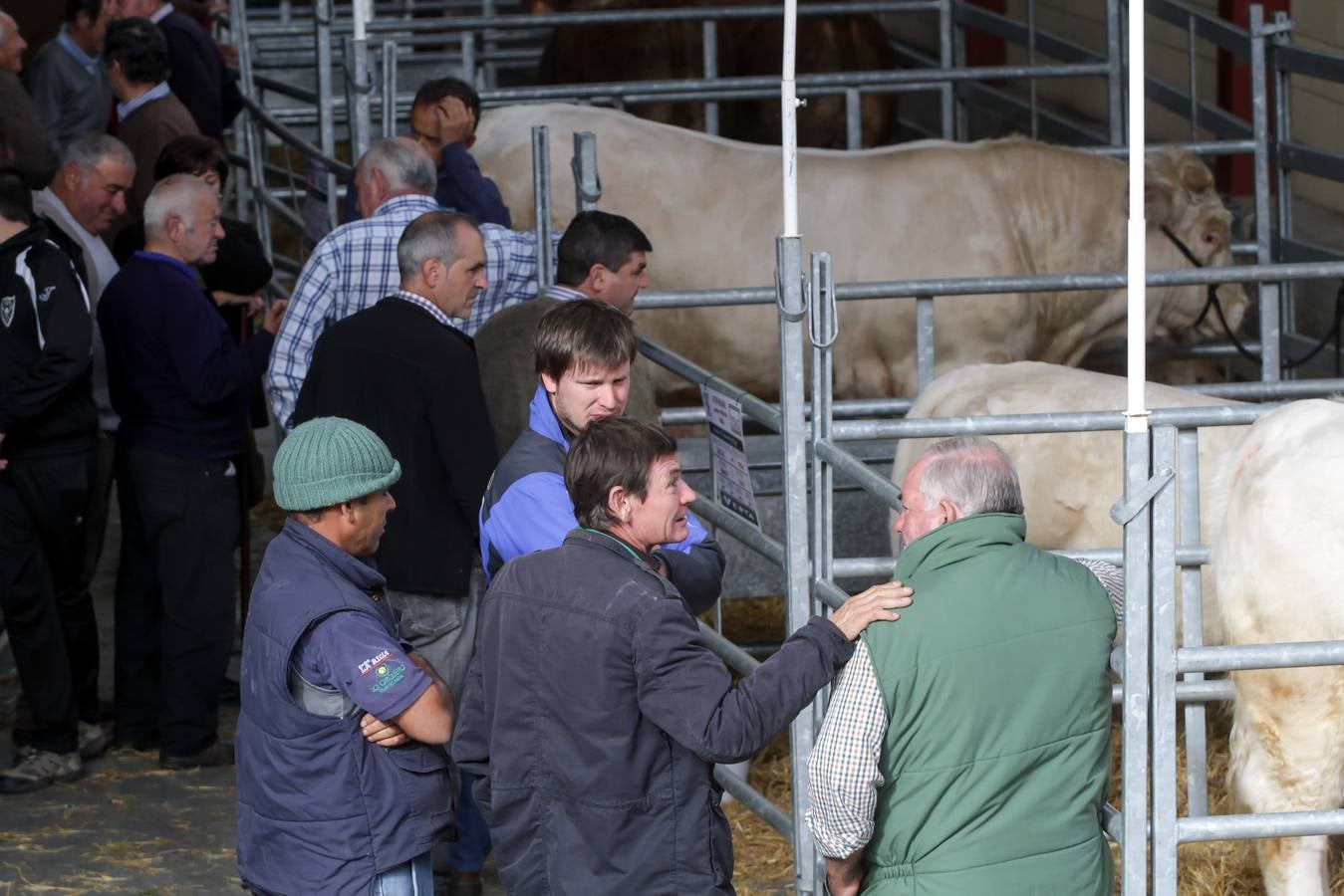 Feria de ganado en Villoslada