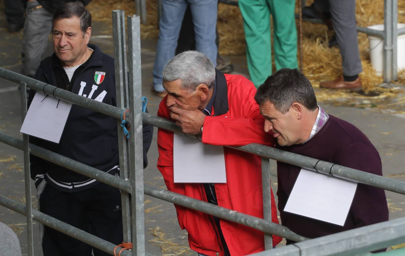 Feria de ganado en Villoslada