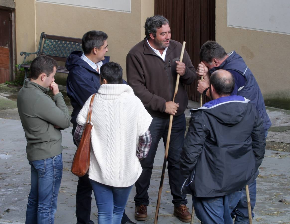 Feria de ganado en Villoslada