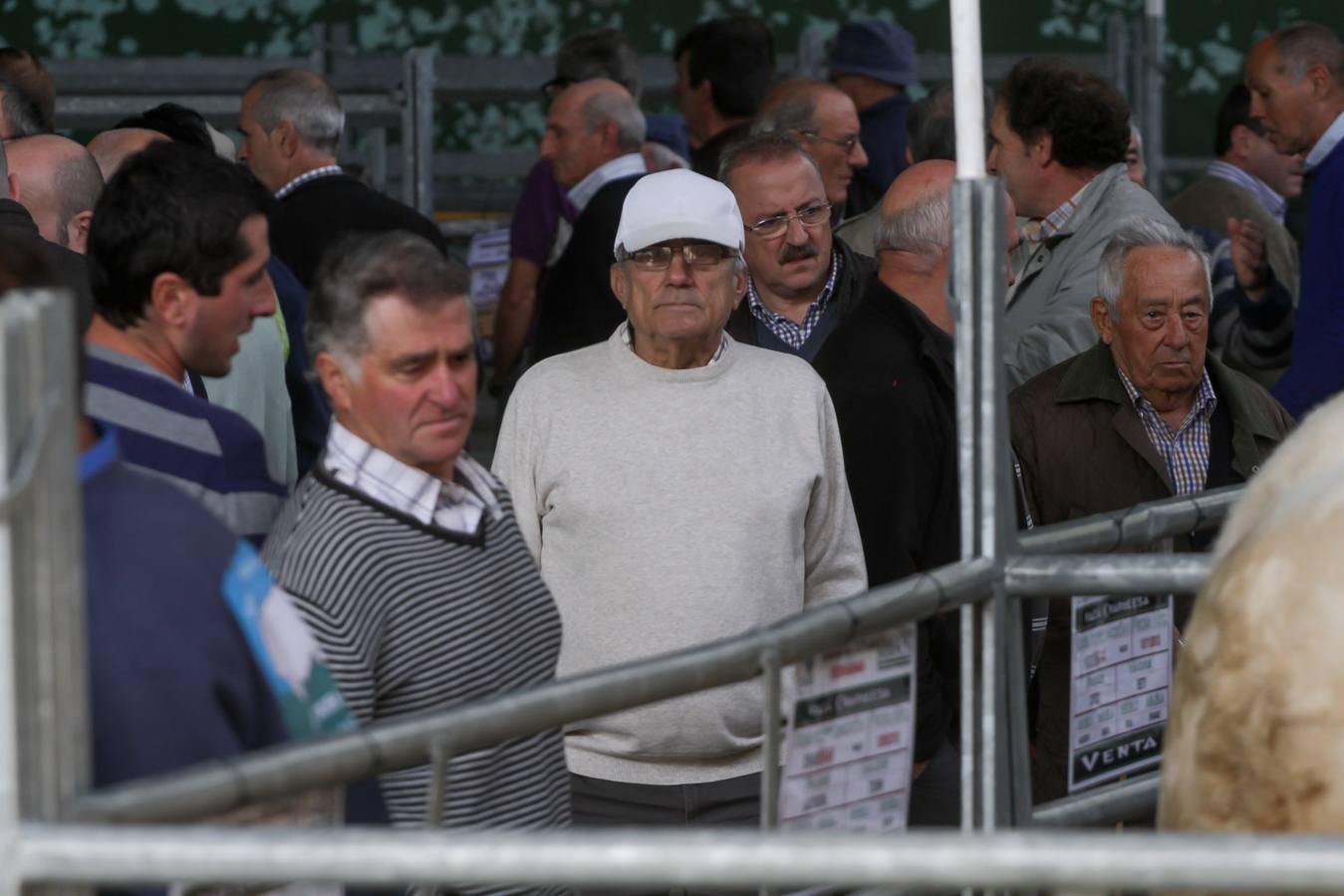 Feria de ganado en Villoslada