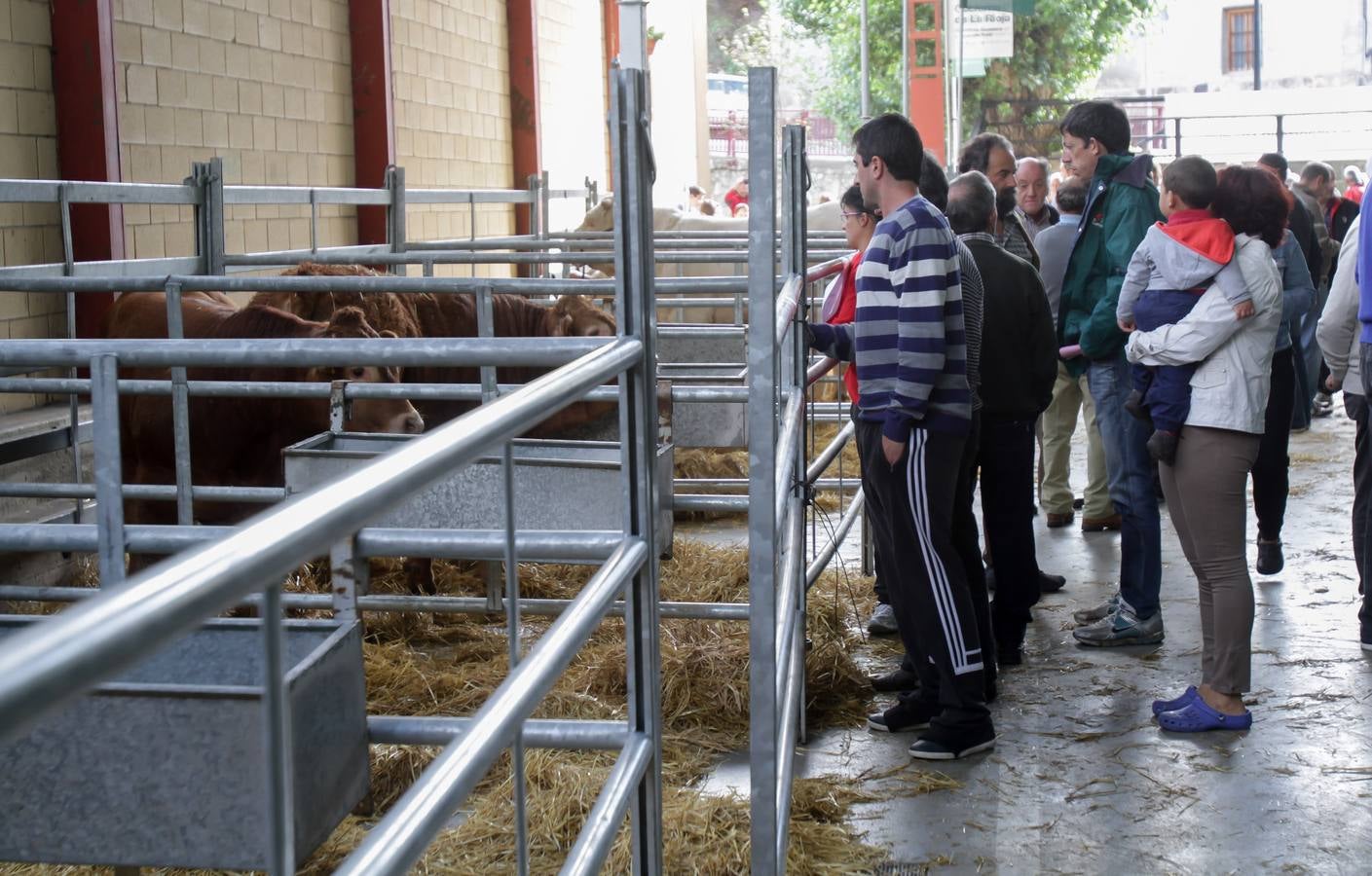 Feria de ganado en Villoslada