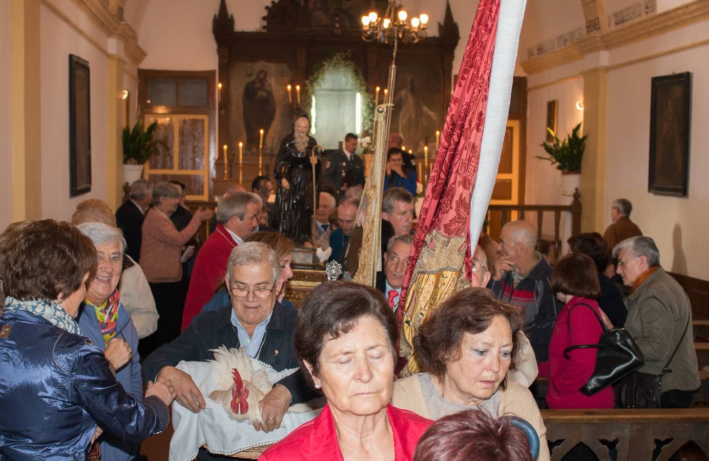 Santo Domingo recuerda el milagro del gallo y la gallina con una romería