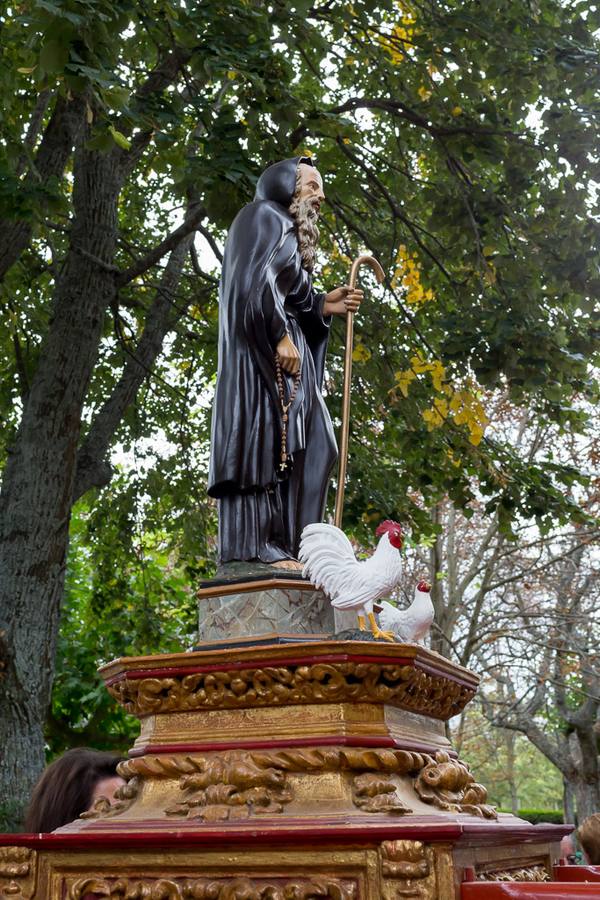 Santo Domingo recuerda el milagro del gallo y la gallina con una romería