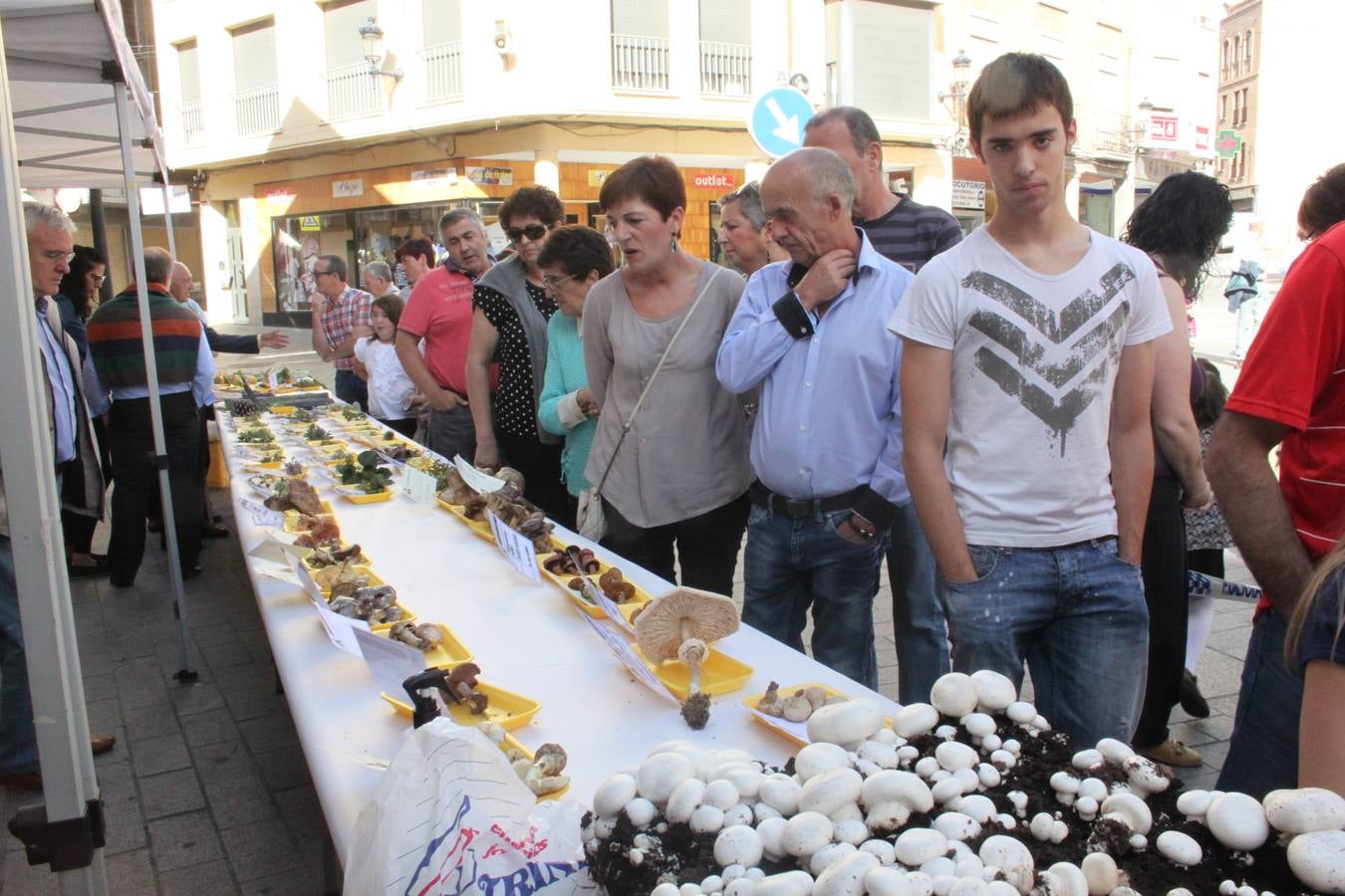 Semana de las Ciencias Naturales en Arnedo