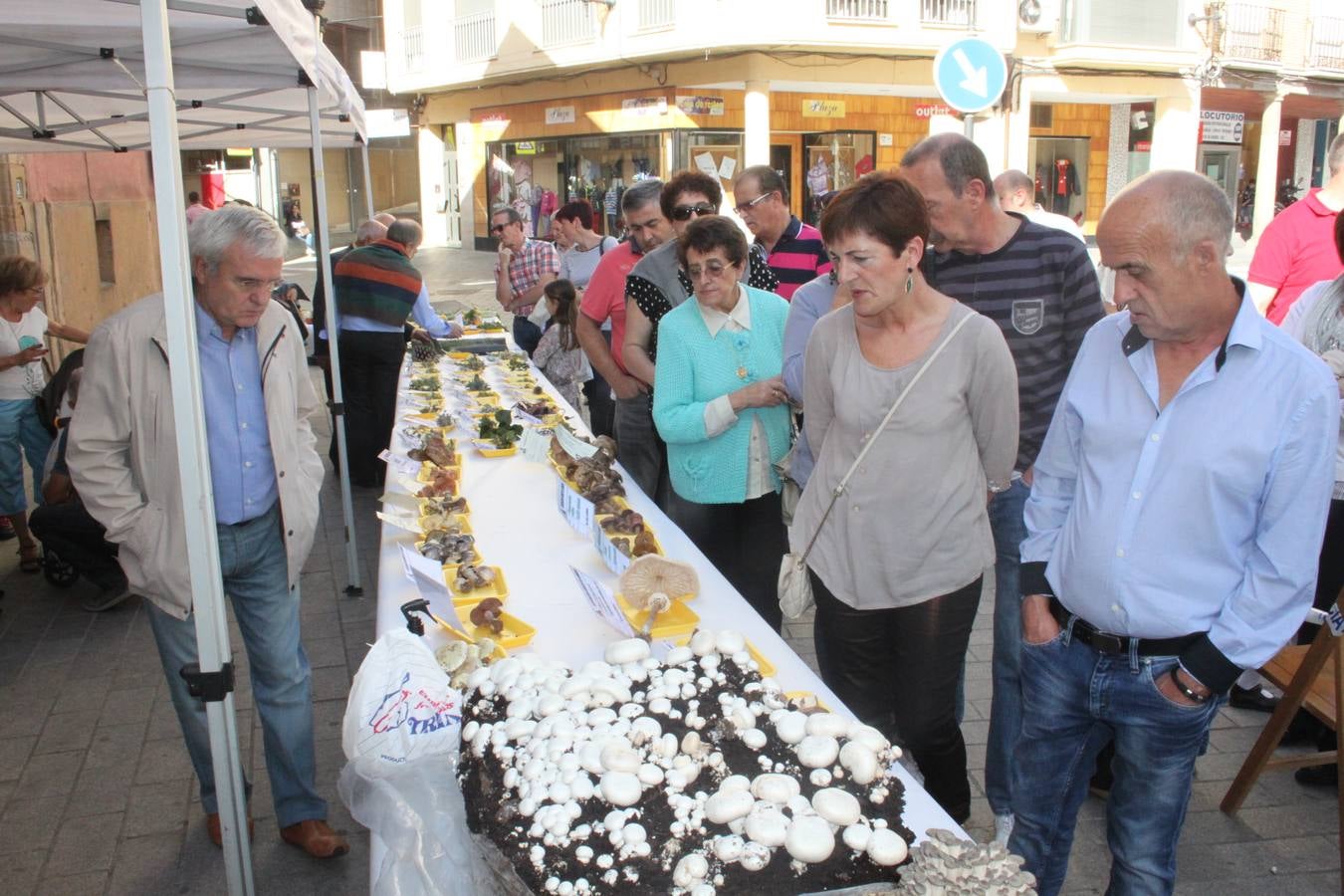 Semana de las Ciencias Naturales en Arnedo