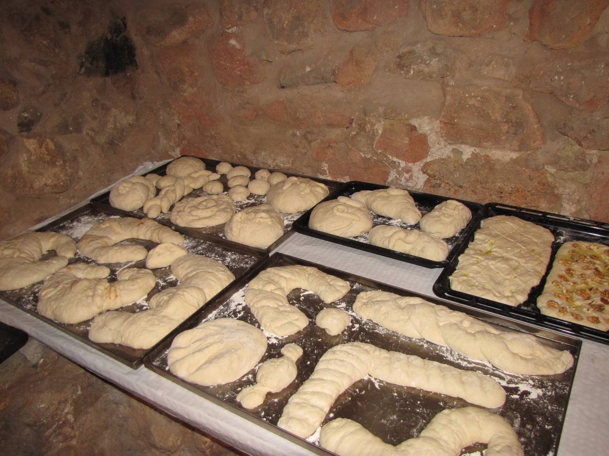 XXI Jornadas micológicas de Villarroya (I)