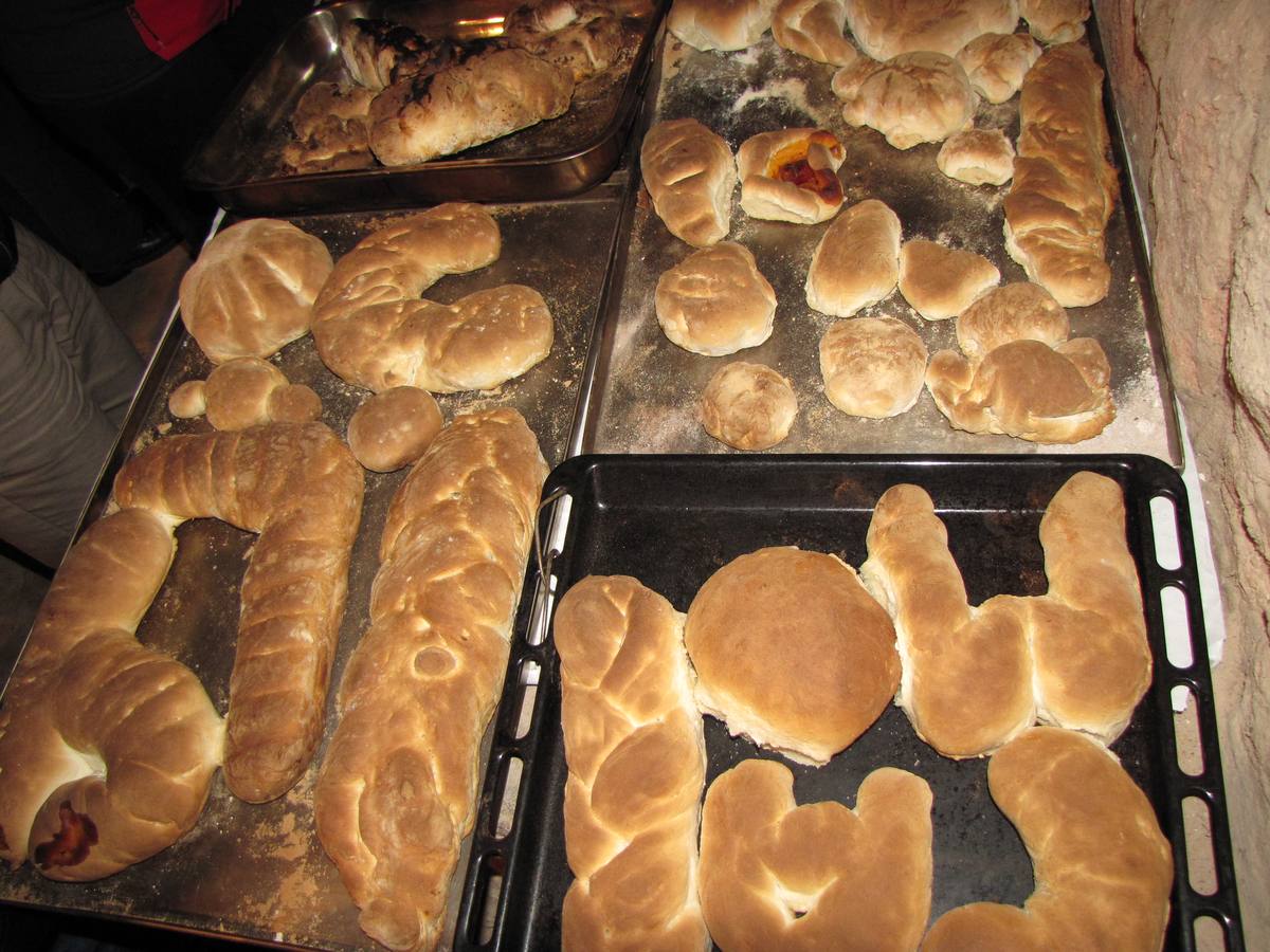 XXI Jornadas micológicas de Villarroya (I)