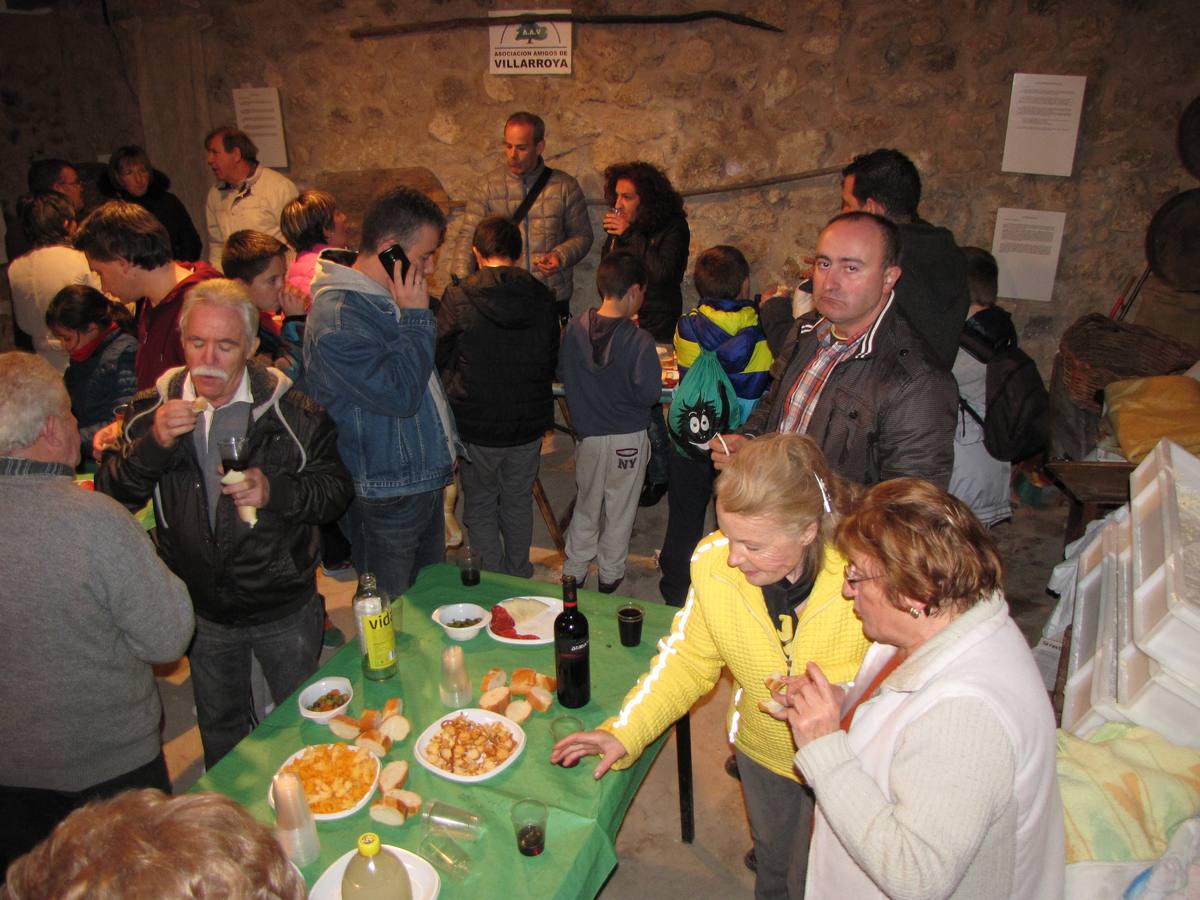 XXI Jornadas micológicas de Villarroya (I)