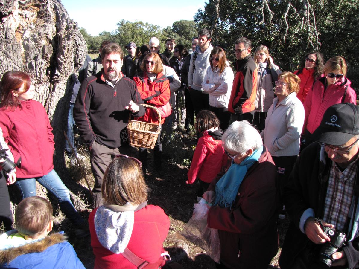 XXI Jornadas micológicas de Villarroya (I)