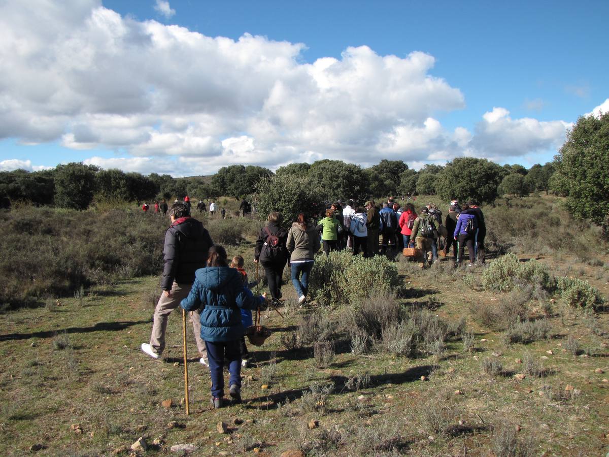 XXI Jornadas micológicas de Villarroya (I)