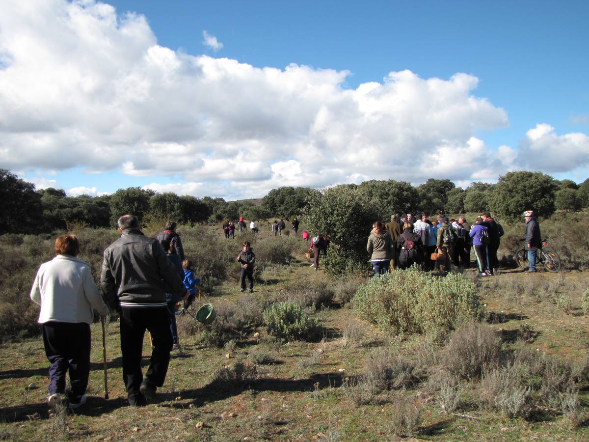 XXI Jornadas micológicas de Villarroya (I)