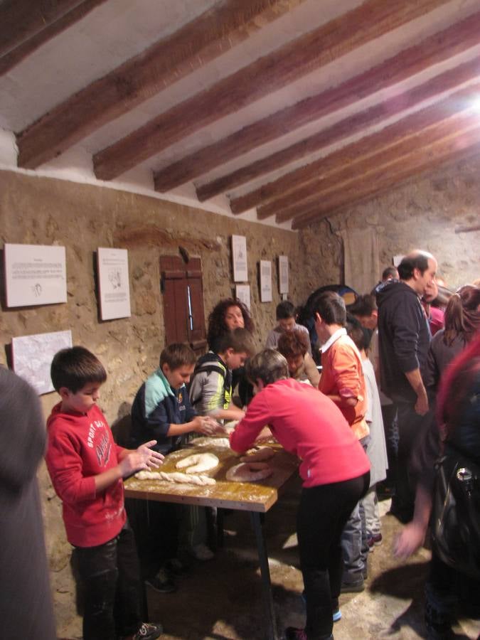 XXI Jornadas micológicas de Villarroya (I)