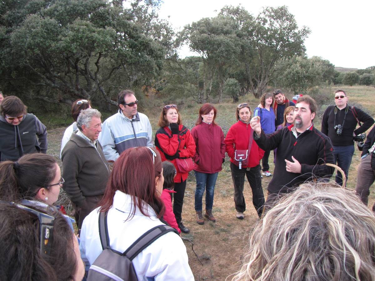 XXI Jornadas micológicas de Villarroya (II)