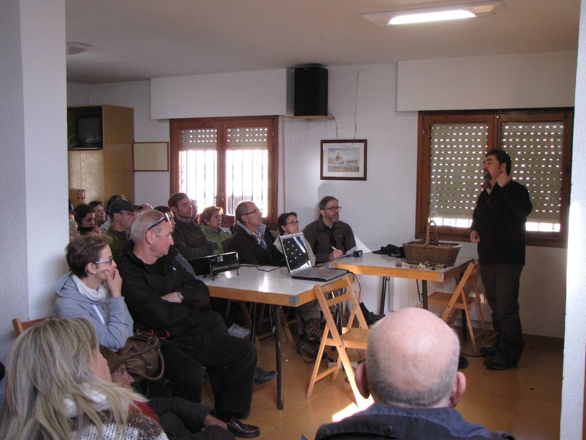 XXI Jornadas micológicas de Villarroya (II)