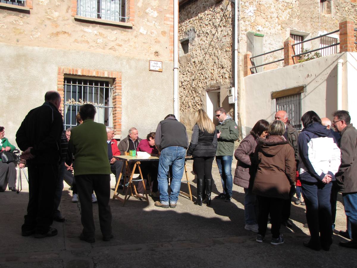 XXI Jornadas micológicas de Villarroya (II)