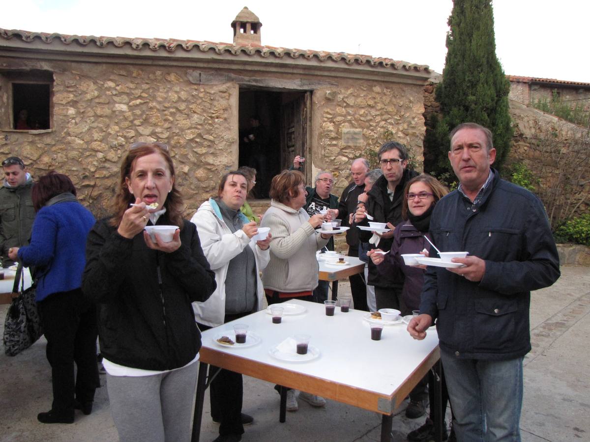 XXI Jornadas micológicas de Villarroya (II)