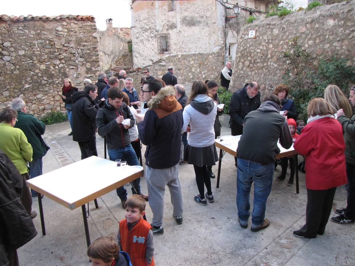 XXI Jornadas micológicas de Villarroya (II)