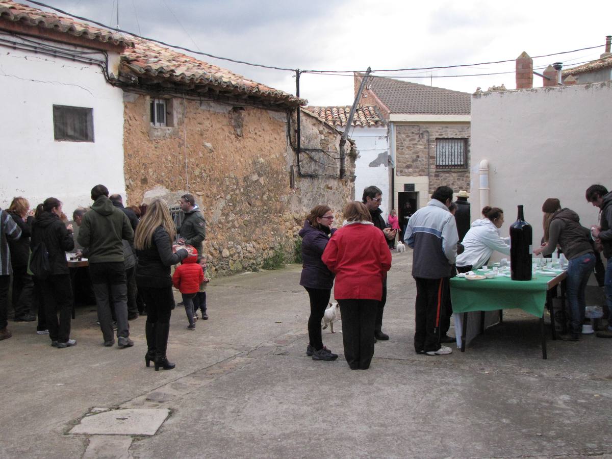 XXI Jornadas micológicas de Villarroya (II)