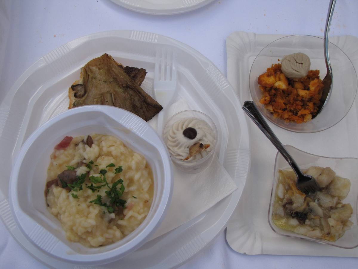 XXI Jornadas micológicas de Villarroya (II)