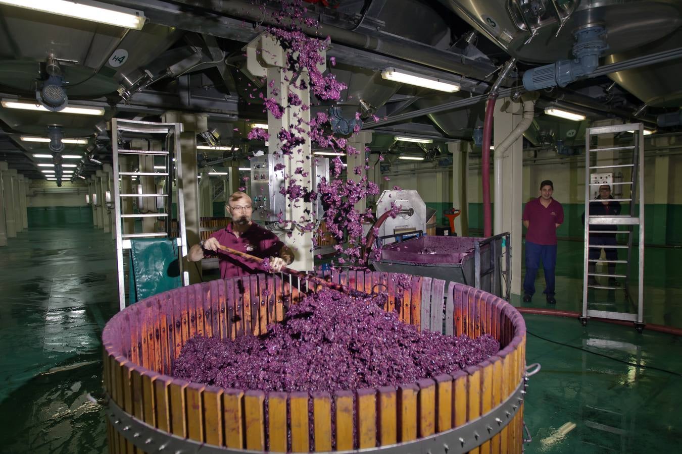 Vino antes de ser vino