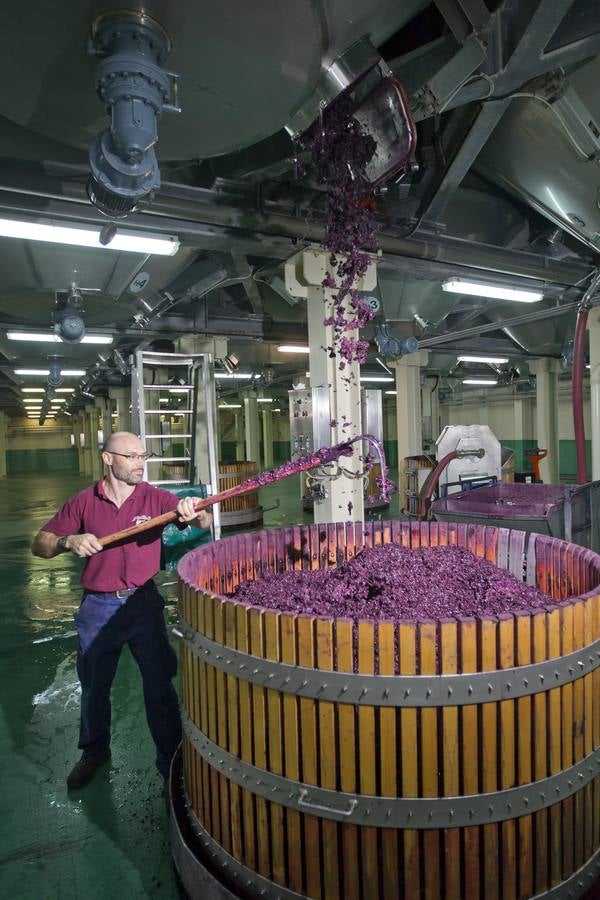 Vino antes de ser vino