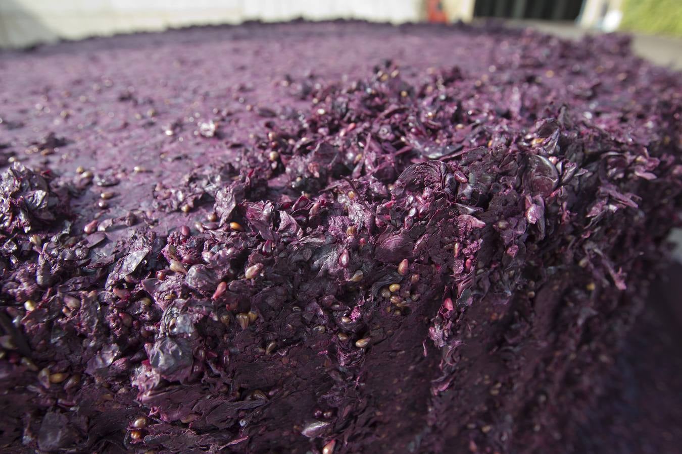 Vino antes de ser vino