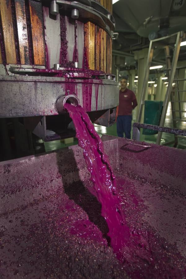 Vino antes de ser vino