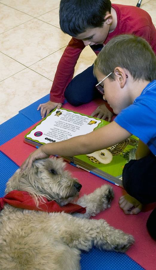 Contar historias a una mascota