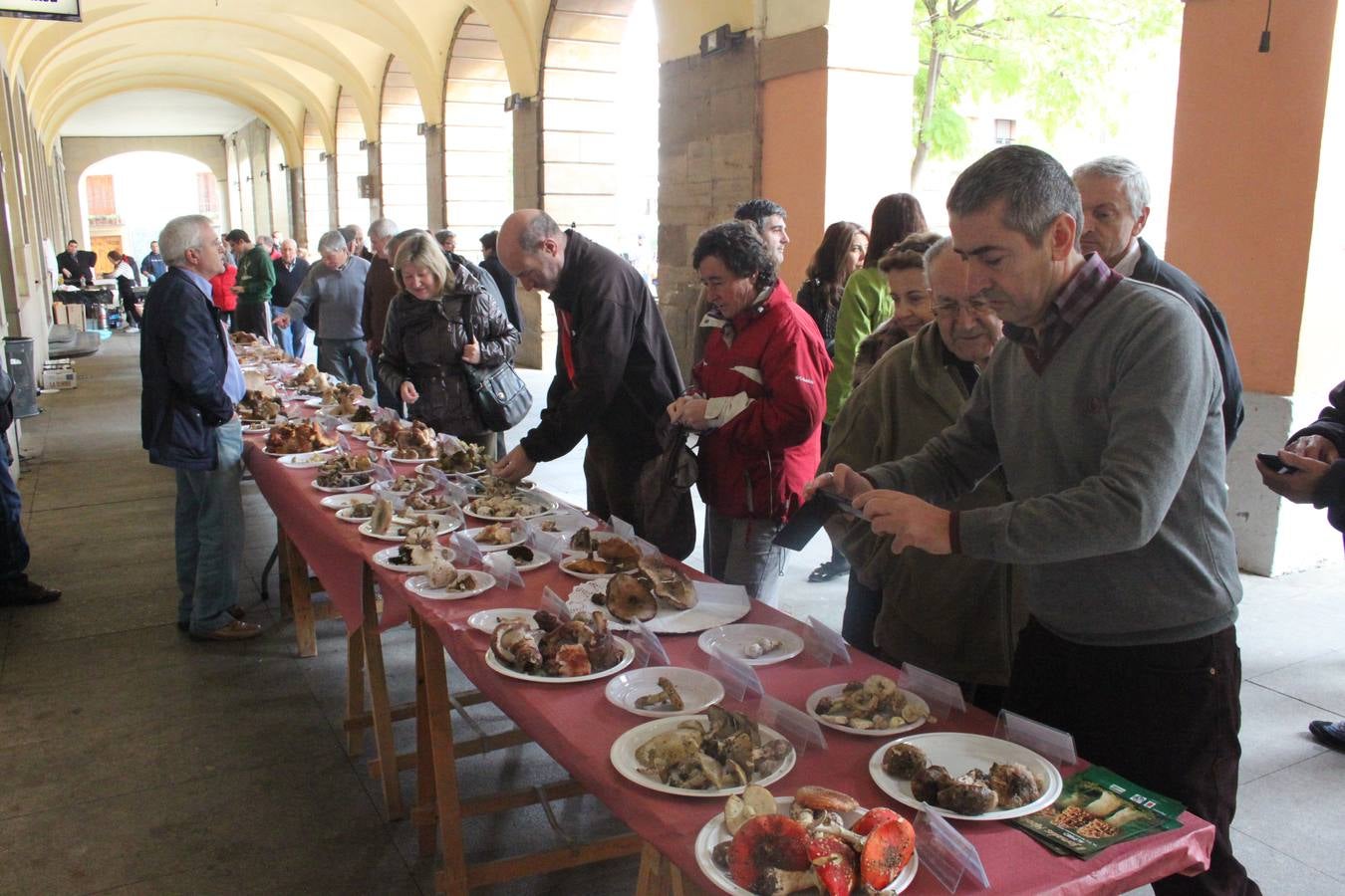 Jornadas micológicas en Alfaro