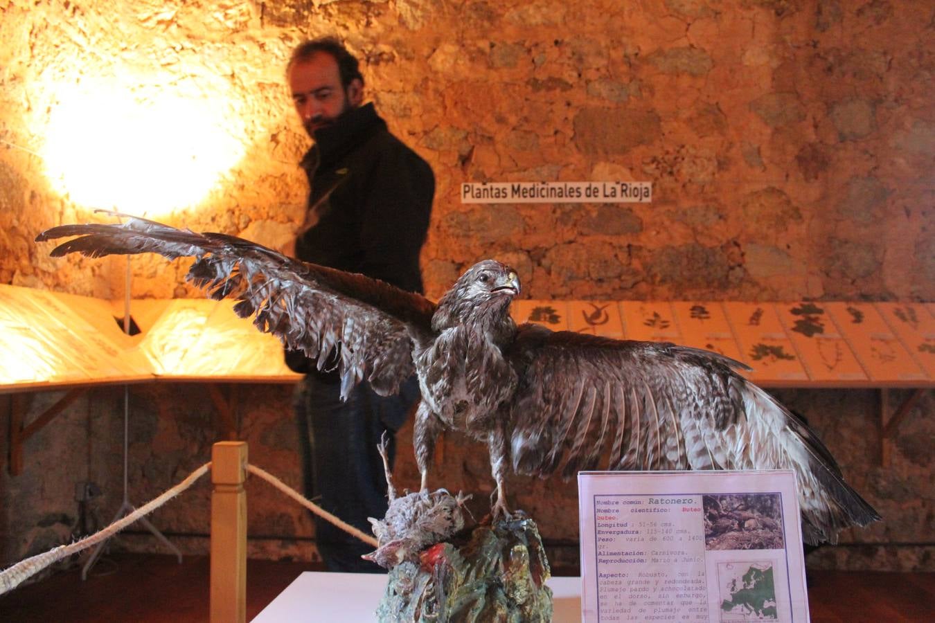 Inauguración de la cuarta fase del castillo de Préjano